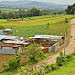 Vita di campo nei pressi di Chimaltenango
