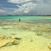 La bellissima acqua di Playa del Carmen