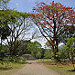 Raggiungo la Gran Plaza (Plaza de las estelas)