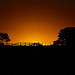 Il bellissimo colore del cielo nei pressi di Tikal al tramonto