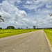 Lunga strada verso Belmopan