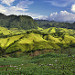 Paesaggio verso Lanquin