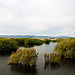 Lago Argentino nei pressi di El Calafate