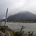 Rio de las Sorpresas (forse) con centinaia di tronchi d'albero