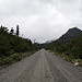 La Carretera Austral passa in zone di foresta pluviale