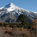 Il vulcano Lanin dal lato chileno