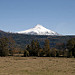 Fuori Curarrehue intravedo il vulcano (attivo) Villarica