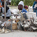 Mercato degli animali (Saquisili)