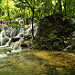 Piccole cascate nella giungla che circonda Palenque