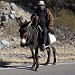 Abitante del posto al dorso di un burro