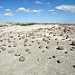 Cancha de Bochas (Ischigualasto)