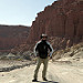 Nello splendido parco di Ischigualasto