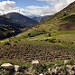 Bel paesaggio montano a 3900m verso Andahuaylas