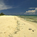 La lunga spiaggia di Playa del Carmen