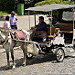 Carrozza per turisti