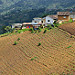 Case di contadini sulle montagne Cuchumatanes