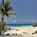 Una delle spiagge delle rovine di Tulum dove molte tartarughe vengono a depositare le uova