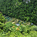 Vista delle piscine di Semuc Champey dal mirador