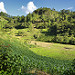 Paesaggio verso San Cristobal Verapaz