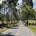 Strada per Cocora