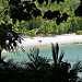 Le spiagge del parque Manuel Antonio