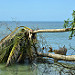 Parque Nacional Cahuita