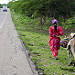 Donna wayuu cammina al lato della strada