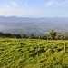 Paesaggio dopo Poasito verso la cima del vulcano Poas