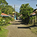 Le vie di Tortuguero