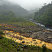 Rio Sucio (Parque Nacional Braulio Carrillo) (3)