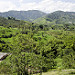 Paesaggio appena fuori Chinchiná