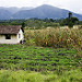 Campi prima di Villa de Leyva