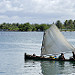 Cano kuna con vela tipica