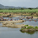 Bagnanti presso un fiume