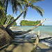 Spiaggia di Punta Mona