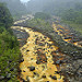 Rio Sucio (Parque Nacional Braulio Carrillo) (4)