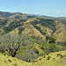 Montagne verso Santa Elena