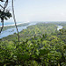 I canali di Tortuguero visti dal cerro omonimo